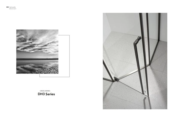 Long Handle Diamond Shower Room