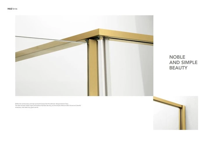 Stainless Steel With Gold Framed Shower Room